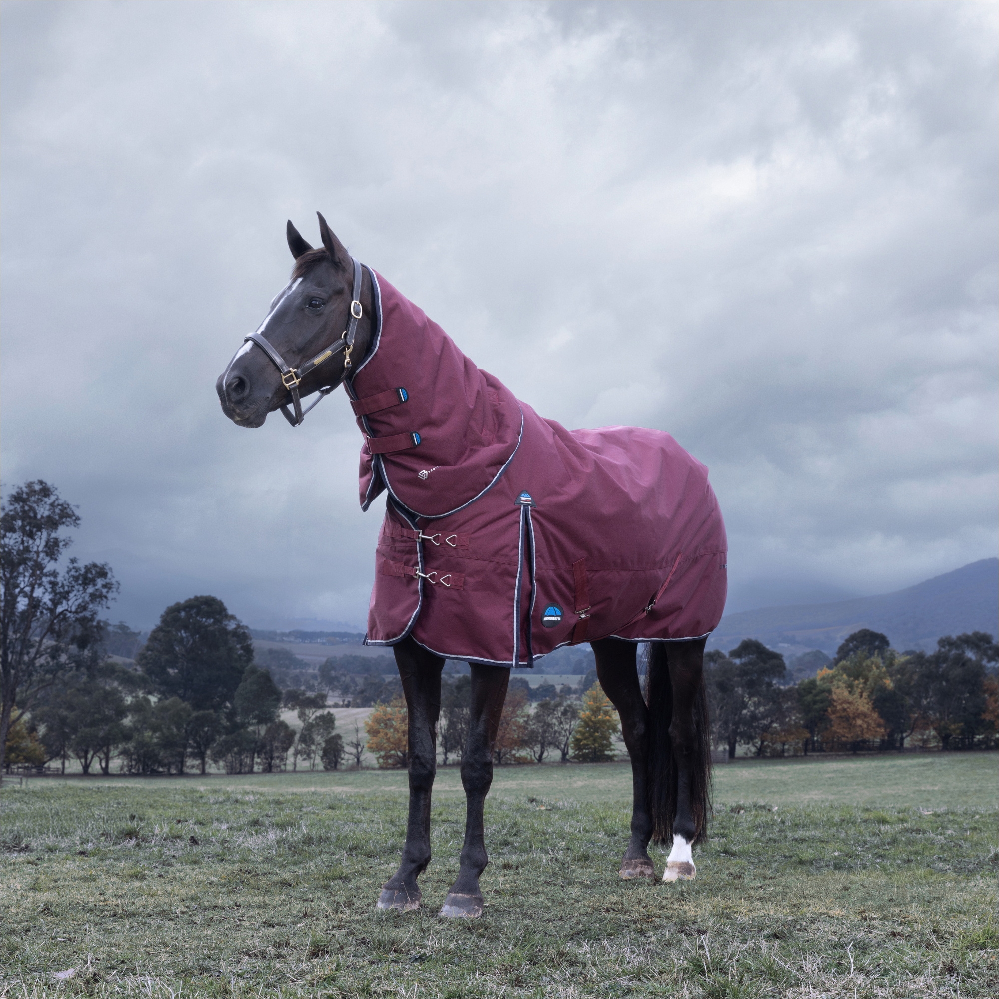 2025 WeatherBeeta Comfitec Essentiel Turnout Décapotable 1029014 - Burgundy